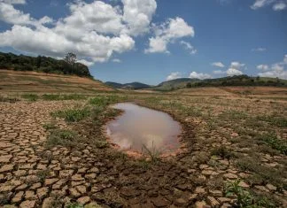 Pesquisadores vão avaliar impactos ambientais em áreas de proteção de mananciais no DF Imagem de seca