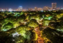O Zoológico de Brasília está com inscrições abertas para o Zoo Noturno, que acontecerá em outubro. Esta é uma oportunidade única para os visitantes conhecerem os animais de perto e de forma diferente.