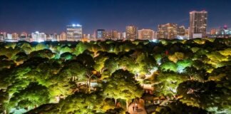 O Zoológico de Brasília está com inscrições abertas para o Zoo Noturno, que acontecerá em outubro. Esta é uma oportunidade única para os visitantes conhecerem os animais de perto e de forma diferente.