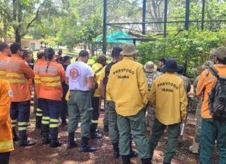 Como Ajudar Animais Afetados por Incêndios em Reservas Ecológicas