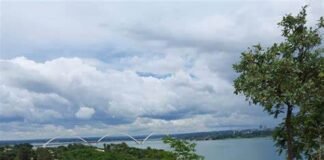 Proteção Ambiental no Distrito Federal: Um Compromisso com o Futuro