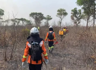 Apoio a grupos locais no enfrentamento de Emergências Climáticas provocadas a partir dos Incêndios Florestais