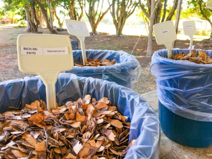 A principal novidade do Banco Comunitário é a possibilidade da troca de sementes entre a granja e o produtor | Fotos: Divulgação/Seagri