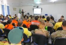 O treinamento para 50 brigadistas e servidores de diversas instituições incluirá técnicas de manejo de répteis, aves e mamíferos| Foto: Joel Rodrigues/Agência Brasília