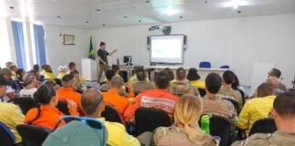 O treinamento para 50 brigadistas e servidores de diversas instituições incluirá técnicas de manejo de répteis, aves e mamíferos| Foto: Joel Rodrigues/Agência Brasília