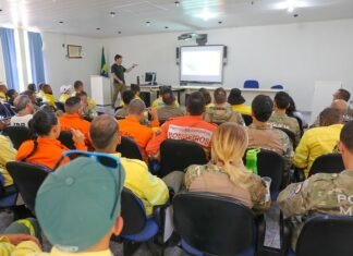 O treinamento para 50 brigadistas e servidores de diversas instituições incluirá técnicas de manejo de répteis, aves e mamíferos| Foto: Joel Rodrigues/Agência Brasília