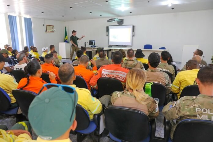 O treinamento para 50 brigadistas e servidores de diversas instituições incluirá técnicas de manejo de répteis, aves e mamíferos| Foto: Joel Rodrigues/Agência Brasília O treinamento para 50 brigadistas e servidores de diversas instituições incluirá técnicas de manejo de répteis, aves e mamíferos| Foto: Joel Rodrigues/Agência Brasília