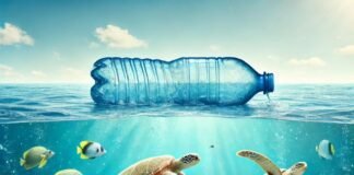 Ilustração de oceanos limpos e saudáveis, com peixes nadando e uma mensagem de conscientização sobre a poluição plástica.