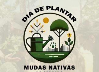 Dia de Plantar: Mobilização Ambiental pelo Cerrado em Diversos Parques do DF Falyer de convite referente a um grupo de voluntários no Parque Ecológico do Riacho Fundo, plantando mudas nativas do Cerrado em um ambiente verdejante e ensolarado, simbolizando a regeneração ambiental.