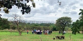 Ação de preservação do Cerrado com voluntários no Parque Ecológico Ezechias Heringer.