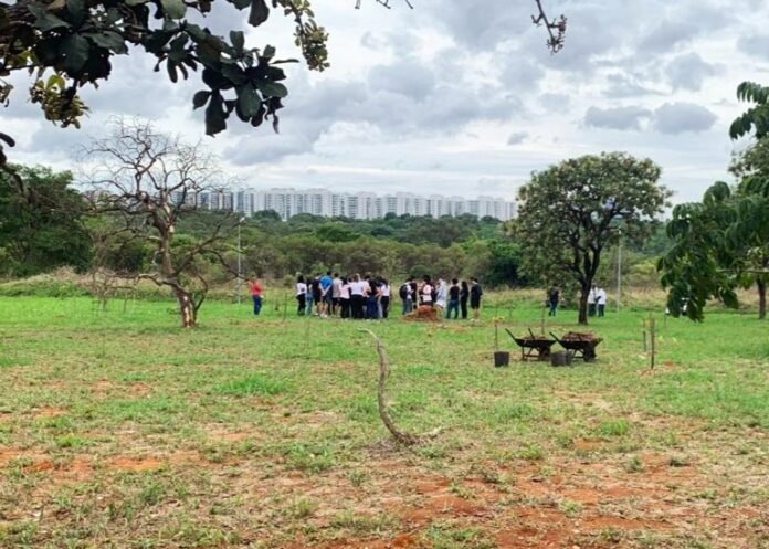 Ação de preservação do Cerrado com voluntários no Parque Ecológico Ezechias Heringer.