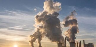 Imagem de destaque da 5ª Conferência Distrital do Meio Ambiente, destacando a importância da emergência climática e da transformação ecológica.