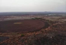 Área rural queimada no Pantanal sul-mato-grossense, depois de atuação de combate ao fogo feito na Operação Hefesto. (Foto: Reprodução/Corpo de Bombeiros Militar)... veja mais em https://www.campograndenews.com.br/meio-ambiente/pantanal-de-ms-fecha-periodo-de-seca-com-59-menos-incendios-que-em-2020