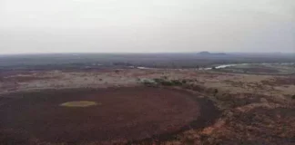 Área rural queimada no Pantanal sul-mato-grossense, depois de atuação de combate ao fogo feito na Operação Hefesto. (Foto: Reprodução/Corpo de Bombeiros Militar)... veja mais em https://www.campograndenews.com.br/meio-ambiente/pantanal-de-ms-fecha-periodo-de-seca-com-59-menos-incendios-que-em-2020
