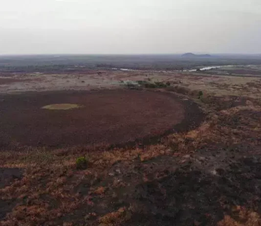 Área rural queimada no Pantanal sul-mato-grossense, depois de atuação de combate ao fogo feito na Operação Hefesto. (Foto: Reprodução/Corpo de Bombeiros Militar)... veja mais em https://www.campograndenews.com.br/meio-ambiente/pantanal-de-ms-fecha-periodo-de-seca-com-59-menos-incendios-que-em-2020