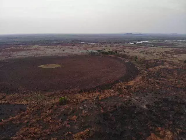 1b59i7h94hn81 Área rural queimada no Pantanal sul-mato-grossense, depois de atuação de combate ao fogo feito na Operação Hefesto. (Foto: Reprodução/Corpo de Bombeiros Militar)... veja mais em https://www.campograndenews.com.br/meio-ambiente/pantanal-de-ms-fecha-periodo-de-seca-com-59-menos-incendios-que-em-2020