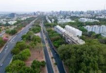 vista-aerea-avenida-vegetacao.webp