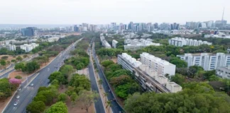 vista-aerea-avenida-vegetacao.webp