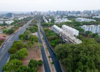 vista-aerea-avenida-vegetacao.webp