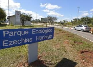 20/07/2015. Crédito: Gustavo Moreno/CB/D.A Press. Brasil. Brasília - DF. Parques abandonados. Parque Ecológico Ezechias Heringer, no Guará. - (crédito: Gustavo Moreno/CB/D.A Press)