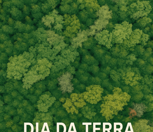 Vista aérea de uma floresta densa com copas de árvores em diferentes tons de verde, simbolizando a biodiversidade, a natureza preservada e a importância da conservação ambiental no Dia da Terra.