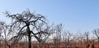 câmera de monitoramento com sistema de inteligência artificial detectando foco de incêndio