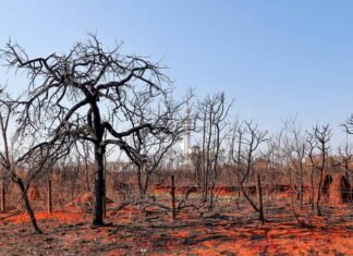 câmera de monitoramento com sistema de inteligência artificial detectando foco de incêndio