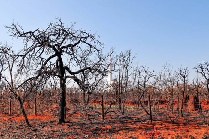 1161d5ffcca74178322819bb18c510ef câmera de monitoramento com sistema de inteligência artificial detectando foco de incêndio