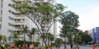 Pessoas praticando atividades recreativas em rua arborizada no Guará, com prédios residenciais ao fundo.