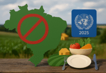 Infográfico representando os índices históricos de subalimentação no Brasil, conforme dados da FAO.