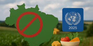 Infográfico representando os índices históricos de subalimentação no Brasil, conforme dados da FAO.