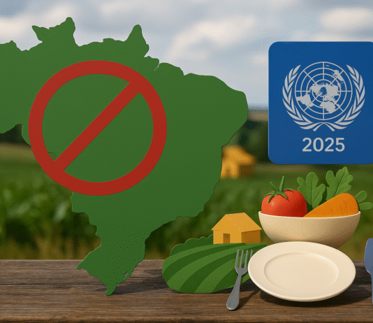 Infográfico representando os índices históricos de subalimentação no Brasil, conforme dados da FAO.