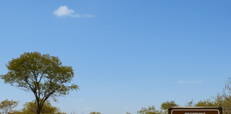 trilha ecológica sinalizada com vegetação típica do cerrado