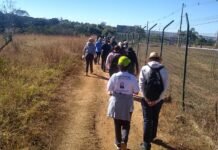Grupo de participantes percorreu trilha ecológica no Parque Ezechias Heringer em ação pela preservação do Cerrado.