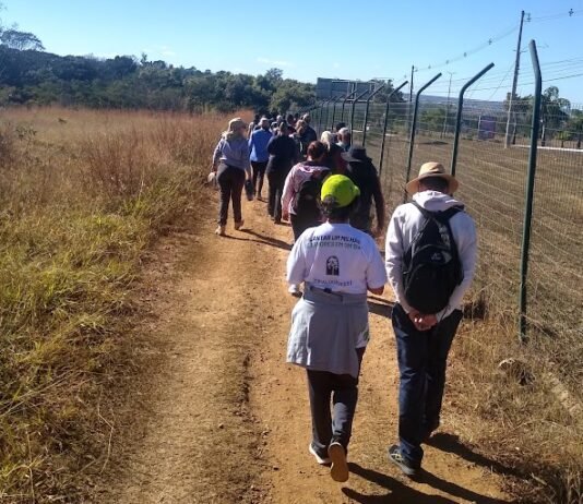 Grupo de participantes percorreu trilha ecológica no Parque Ezechias Heringer em ação pela preservação do Cerrado.