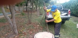 Equipes da Administração Regional atuam em limpeza urbana e poda de árvores no Plano Piloto
