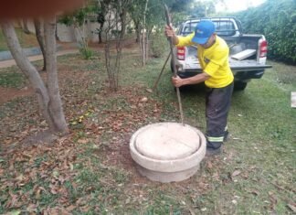 Equipes da Administração Regional atuam em limpeza urbana e poda de árvores no Plano Piloto