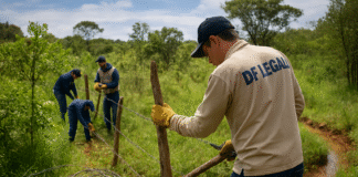 Cercas ilegais sendo removidas em área de preservação no Recanto das Emas pelo DF Legal