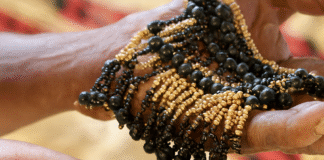 Mãos envelhecidas, de pele castanho-escura e rugosa, seguram colares artesanais feitos de pequenas sementes cilíndricas bege-douradas e contas pretas brilhantes, com fundo desfocado em tons terrosos e tecido vermelho e preto.