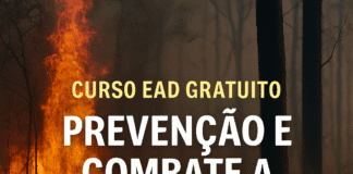 Cena de incêndio florestal com chamas intensas consumindo árvores, usada como imagem promocional do curso EAD gratuito sobre prevenção e combate a incêndios florestais oferecido pela SEMIL-SP.