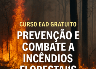 Cena de incêndio florestal com chamas intensas consumindo árvores, usada como imagem promocional do curso EAD gratuito sobre prevenção e combate a incêndios florestais oferecido pela SEMIL-SP.