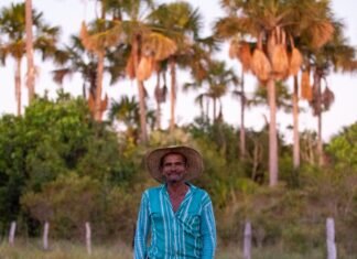 Foto mostra uma pessoa que vive do cerrado, atras dela há uma vegetação nativa do cerrado