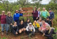 Participantes em trilha ecológica no cerrado, observando a vegetação nativa e interagindo com o ambiente.