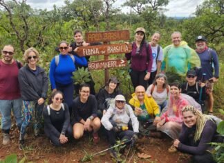 Participantes em trilha ecológica no cerrado, observando a vegetação nativa e interagindo com o ambiente.