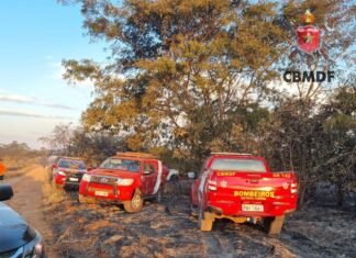 Brigadistas do IBGE durante ação de combate ao incêndio no DF