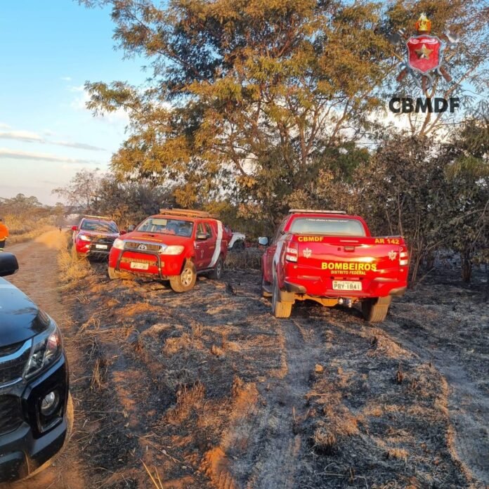 Brigadistas do IBGE durante ação de combate ao incêndio no DF