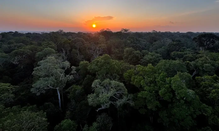 Diretora do Instituto Clima e Sociedade apresenta edital para projetos com inteligência artificial voltados ao meio ambiente