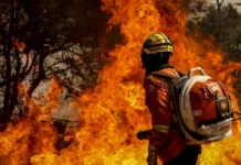 ombeiro da Brigada de Incêndio segura maçarico aceso enquanto combate incêndio florestal de grande intensidade em área de vegetação.