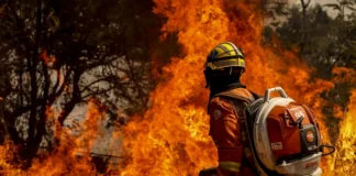 ombeiro da Brigada de Incêndio segura maçarico aceso enquanto combate incêndio florestal de grande intensidade em área de vegetação.