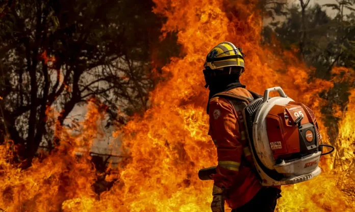 incendio-florestal-bsb2_mcamgo_abr_24082024-2_1 ombeiro da Brigada de Incêndio segura maçarico aceso enquanto combate incêndio florestal de grande intensidade em área de vegetação.